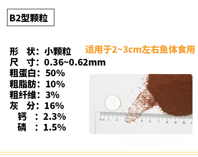 高蛋白正品日清招财鱼饲料孔雀鱼鱼粮金波子海水鱼开口B1B2C1S1S2 - 图2