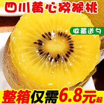 Kiwifruit Fresh 30 authentic Yellow Heart Terme Grade Big Fruit Sichuan Golden Fruit Pregnant Women Fruits to Season Whole Box Kiwifruit