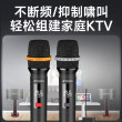 山水家用无线话筒麦克风U段调频Ktv专用K歌卡拉OK会议音响麦克风