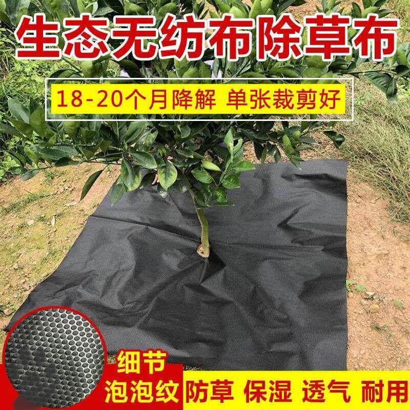 花庭园艺推荐品牌 新人首单立减十元 21年6月 淘宝海外