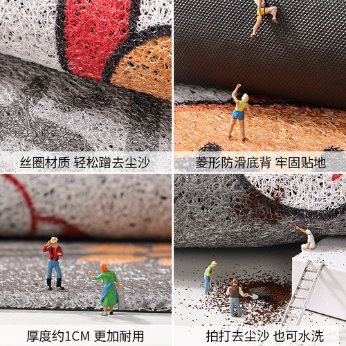 入户门垫进门地垫室内玄关防滑丝圈脚垫2024新款进门口可裁剪地毯 - 图2