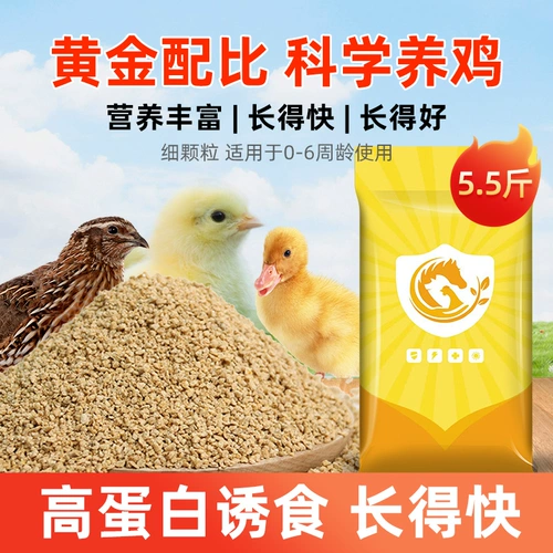 Курица корм для открытия курицы материал для рыбалки и бить гнездо питательный белковый материал