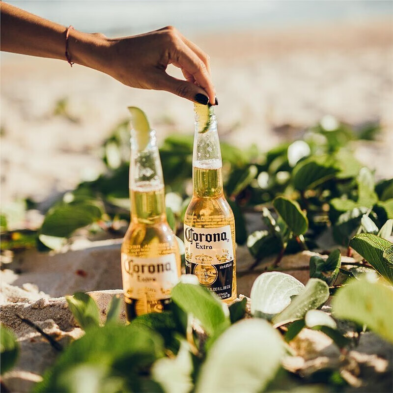 CORONA科罗娜墨西哥风味特级啤酒250ml*24瓶装官方正品聚会 - 图1