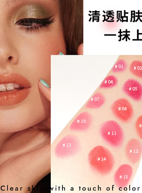 新款 MISSROSE色师专用唇彩口红盘多色唇膏舞台演出影楼化妆学校