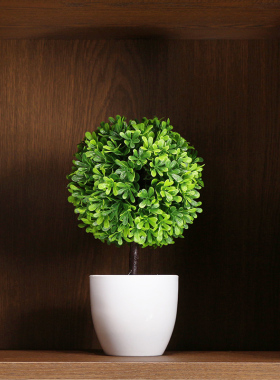 厕所浴室柜摆件装饰品花道具