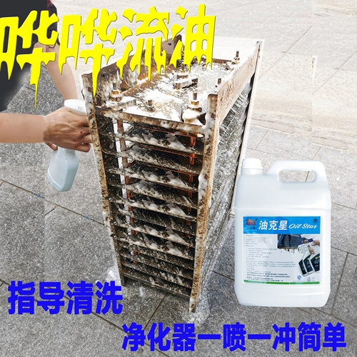 巴比酷油烟净化器电场专用清洗剂无烟净化车清洗机烧烤炉清洗液 - 图2