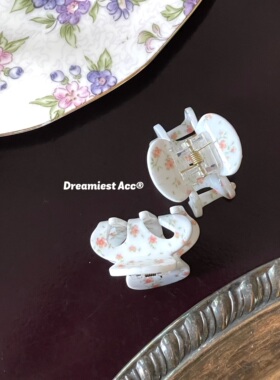dreamiest碎花闪片小众南瓜抓夹