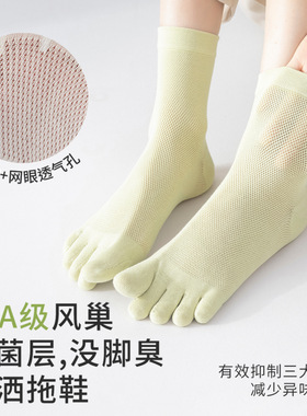 新款五指袜子女夏季薄款棉袜
