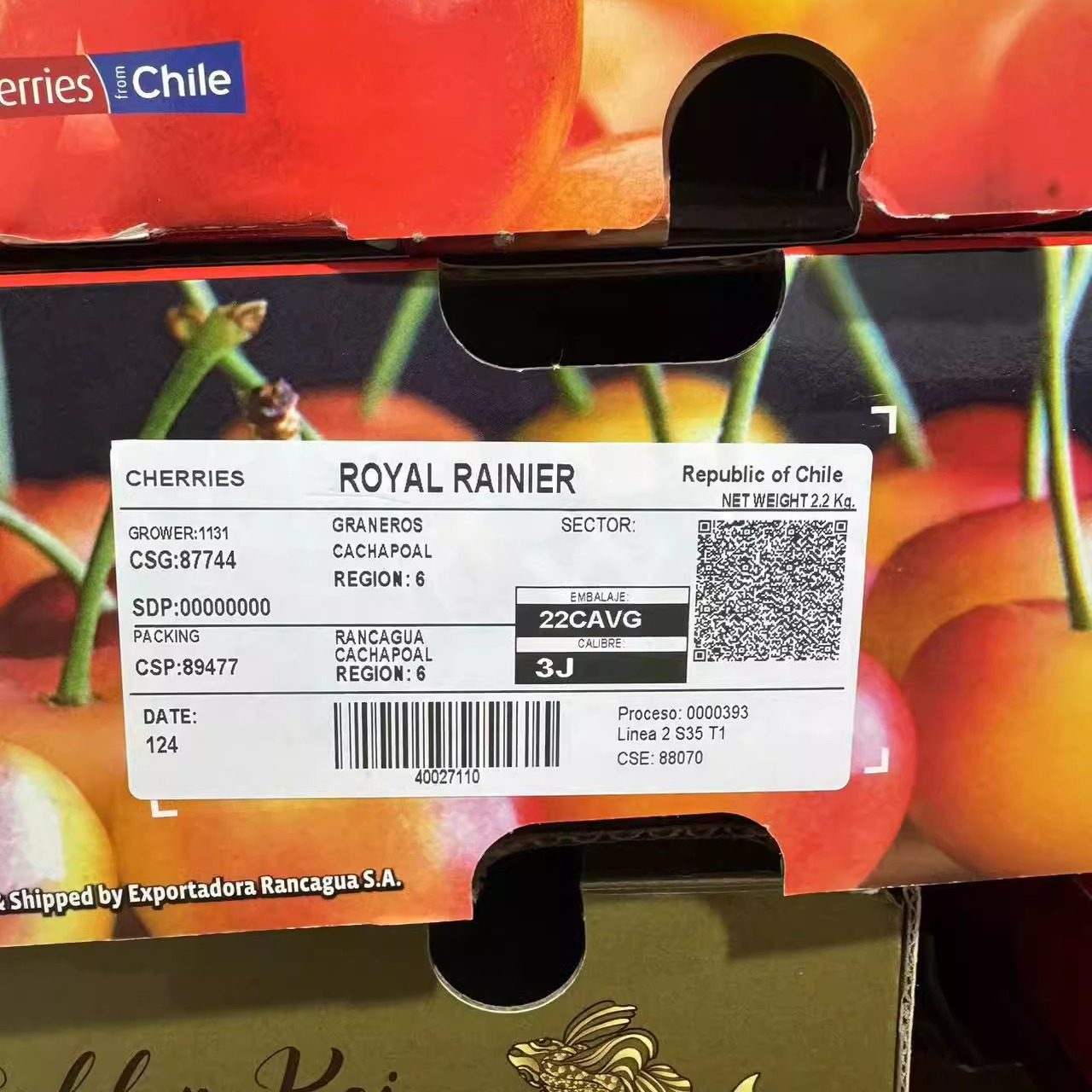 现货智利进口雷尼尔黄金车厘子新鲜水果4JJJJ黄色大樱桃2斤礼盒,淘宝优惠券,粉丝福利购,淘宝优惠卷