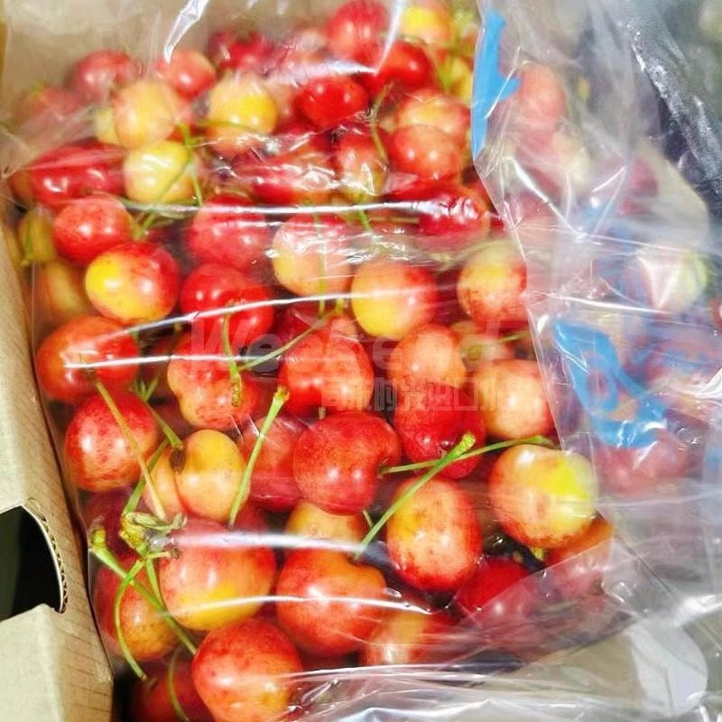 现货智利进口雷尼尔黄金车厘子新鲜水果4JJJJ黄色大樱桃2斤礼盒,淘宝优惠券,粉丝福利购,淘宝优惠卷