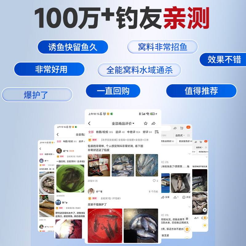 刘志强谷子大师全能窝方块饵料窝料野钓打窝鲫鱼鲤鱼鱼饵打窝料 - 图0