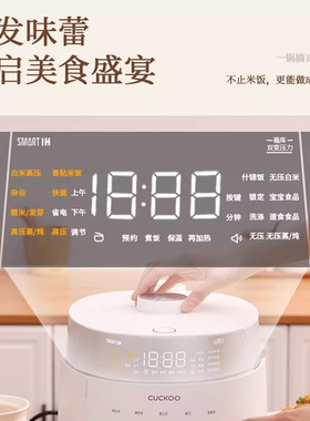 福库原装进口双压转换IH电饭煲