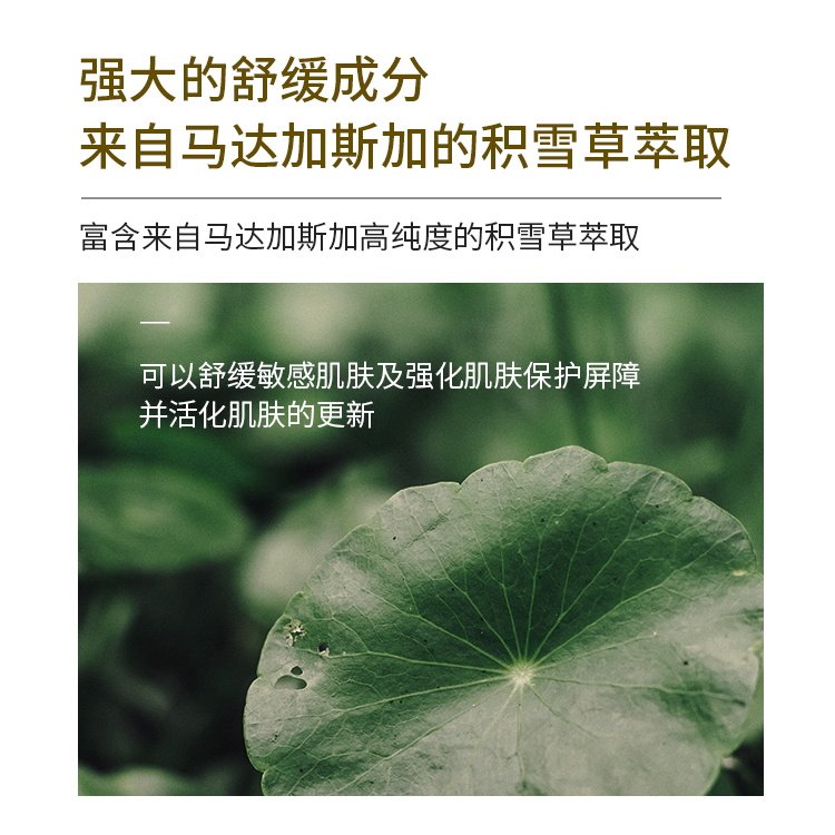 SKIN1004理肤天使积雪草精华妆前湿敷棉片舒缓强补水保湿棉片70ea,淘宝优惠券,粉丝福利购,淘宝优惠卷