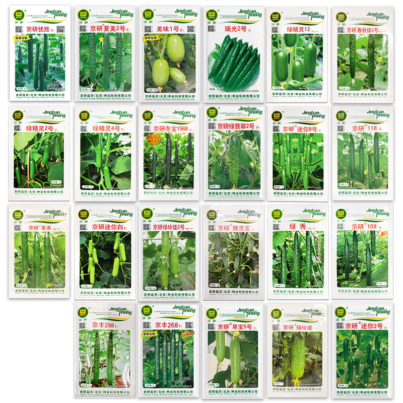 农科院黄瓜种子旱黄瓜春秋绿长黄瓜玉女水果黄瓜苗四季蔬菜种籽孑,淘宝优惠券,粉丝福利购,淘宝优惠卷