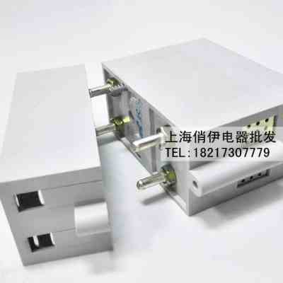 上海第三开关厂小型断路器DZ11863C 63A40A 2P 空气开关 - 图0
