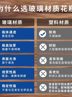 大号玻璃花瓶透明摆件直筒高级感