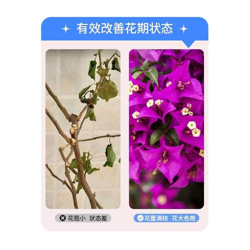 三角梅开花专用营养液肥促花爆花骨粉复合肥料养花枝繁叶茂促开花,淘宝优惠券,粉丝福利购,淘宝优惠卷
