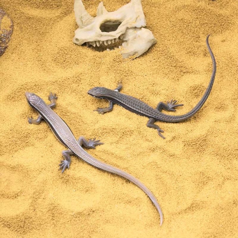 陆龟爬宠沙垫材鬃狮蜥蜴守宫用品爬宠沙饲养沙漠造景爬沙钙砂宠物,淘宝优惠券,粉丝福利购,淘宝优惠卷