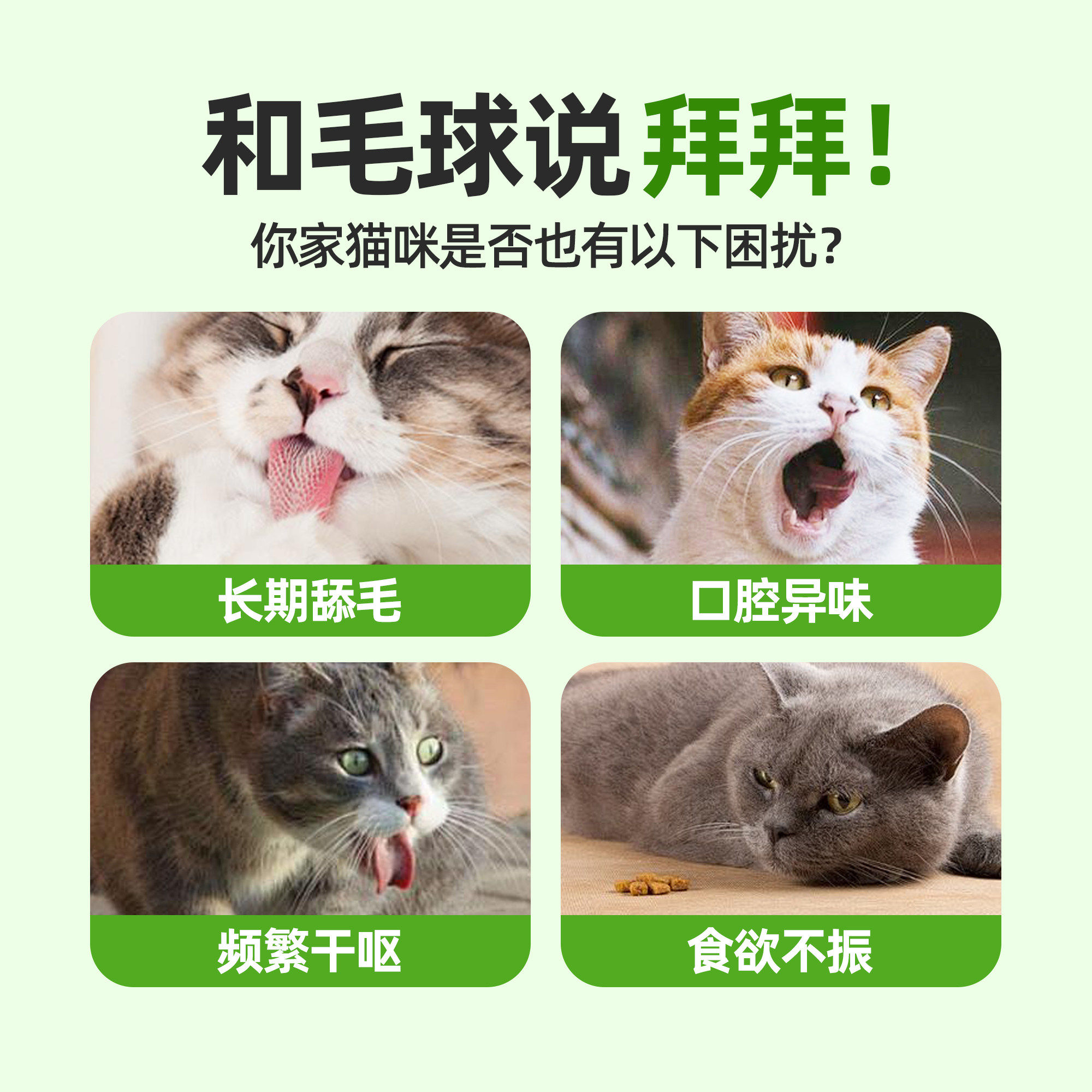 猫草棒冻干猫咪零食化毛球排毛成猫磨牙棒洁齿猫草饼干猫咪助消化,淘宝优惠券,粉丝福利购,淘宝优惠卷