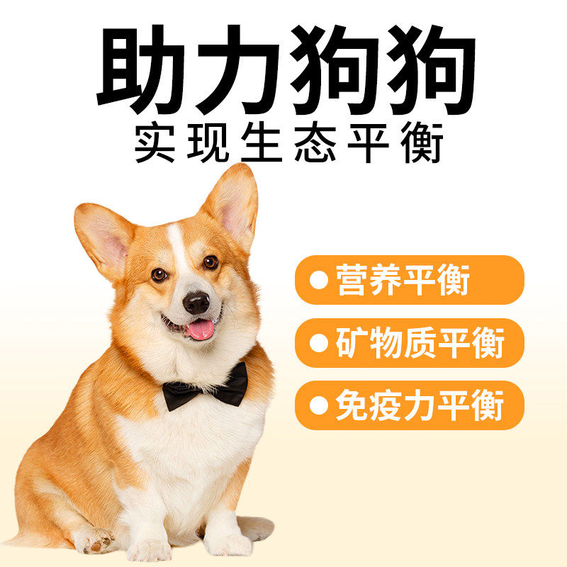 狗粮通用型10斤装小型中大型犬专用泰迪柯基金毛犬粮幼成犬20斤,淘宝优惠券,粉丝福利购,淘宝优惠卷