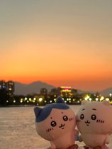 chikawa paparazzi giykawa pendant small eight doll small foot gii plush paparazzi usaki doll