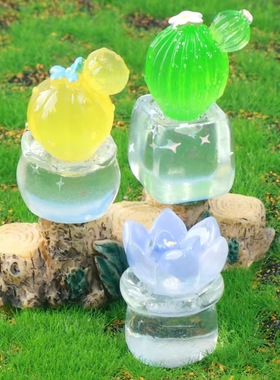 透明盆栽仙人掌植物苔藓微景观