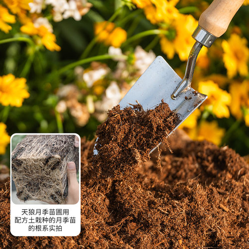 天狼月季专用土保水透气椰糠陶粒泥炭栽培基质套装花卉绿植易爆根 - 图2