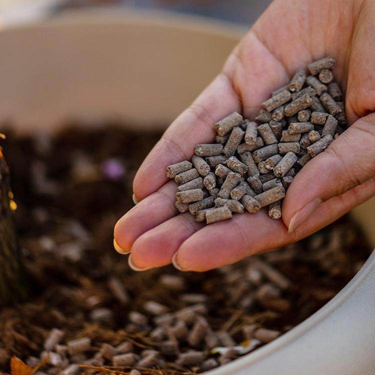 天狼月季八福仙花丁家庭园艺肥料有机通用型缓释肥花卉绿植盆栽,淘宝优惠券,粉丝福利购,淘宝优惠卷