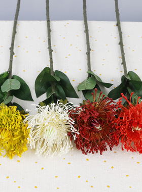 家居摆设植物塑料蟹爪菊