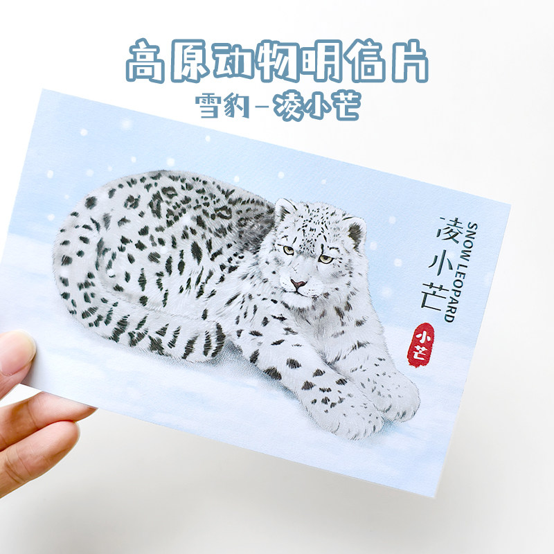 凌小芒雪豹高原动物园明信片西宁野生动物园生态文创,淘宝优惠券,粉丝福利购,淘宝优惠卷