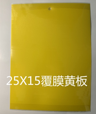 双面粘虫板c诱虫蓝板纸贴黄色灭C小飞虫粘苍蝇贴果园蓟马大棚。-图1