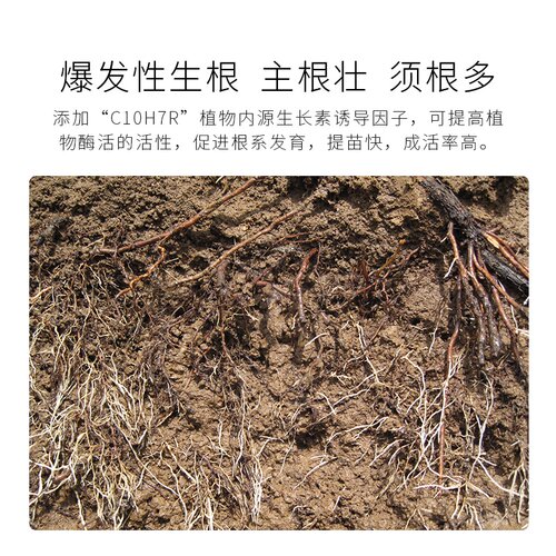 腐生根磷肥通用源酸氮肥肥施肥水溶壮苗矿肥冲蔬菜果树肥料桶黄钾