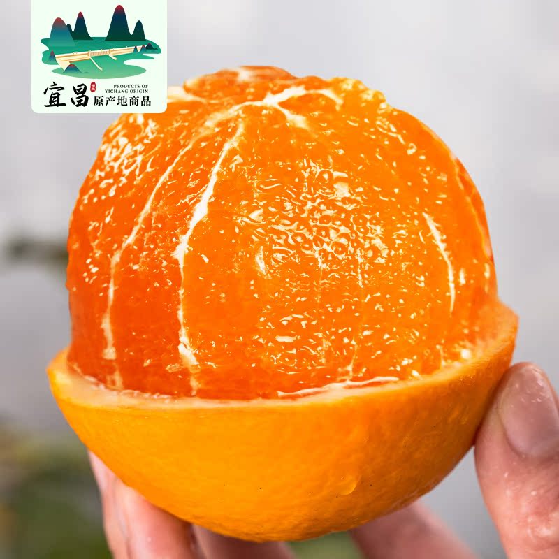 湖北九月红橙8斤新鲜大果当季水果整箱甜橙红橙子果冻橙秭归脐橙