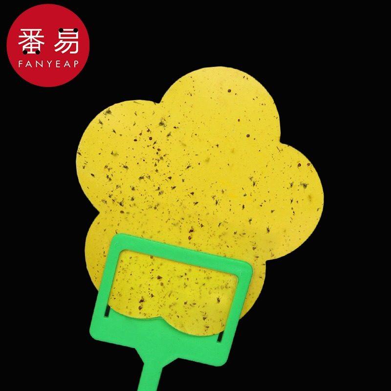 粘虫板B1pq808-小黄板双面小飞虫诱虫沾虫纸果蝇诱捕器防水耐高,淘宝优惠券,粉丝福利购,淘宝优惠卷