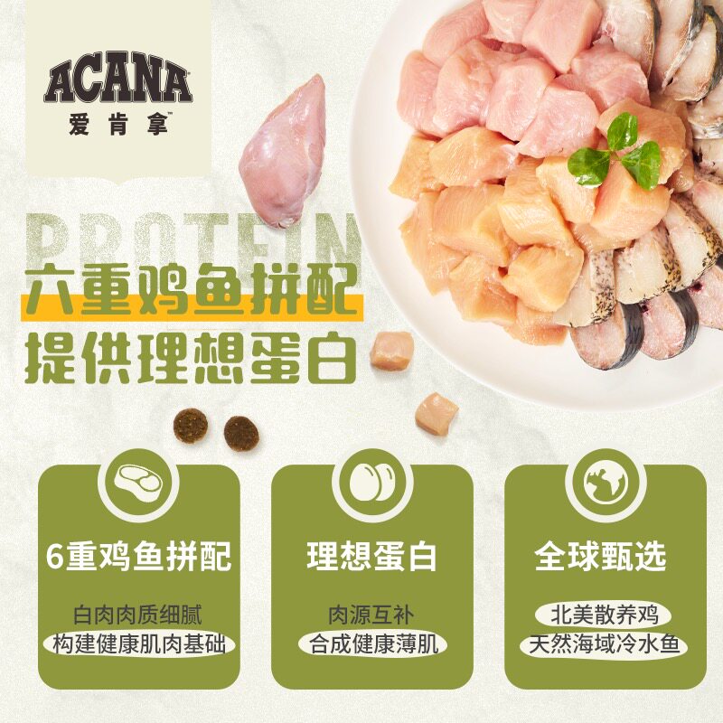 【自营】ACANA/爱肯拿美国进口农场盛宴鸡肉鲜肉全阶段猫粮5.4kg