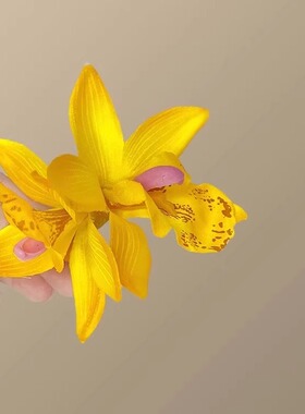 2025新款黄色兰花花朵发夹女氛围感侧边夹仿真头花发卡拍照发饰