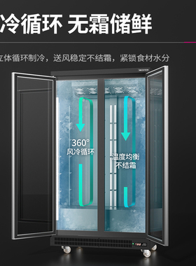 乐创立式低温冷冻展示柜
