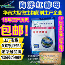 22 enterprise shop South American white u prawn breeding special marine red yeast production manufacturer direct marketing