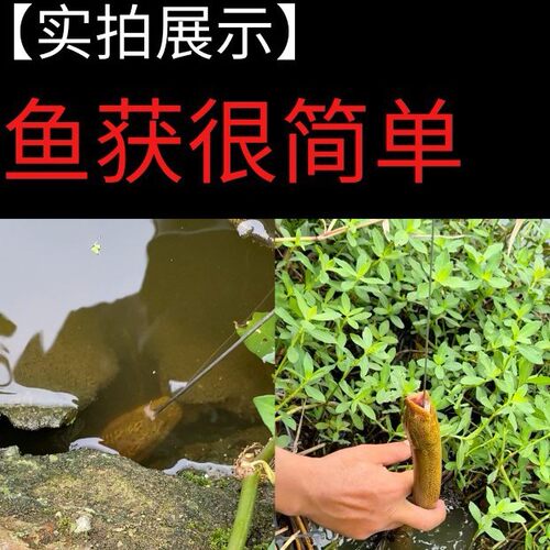 新款钓黄鳝钩碳钢黄鳝钩带缓冲钓鳝勾不锈钢鳝鱼钩木纹木柄一体钩 - 图1