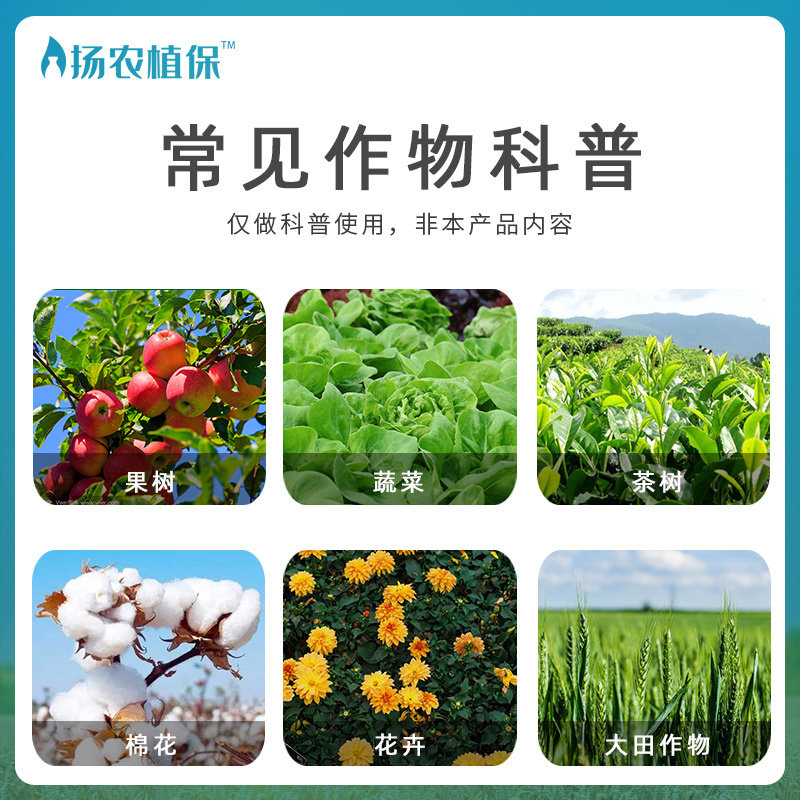 国光毙克10%吡虫啉杀虫剂水稻比虫林农药比虫啉除虫剂杀虫药正品