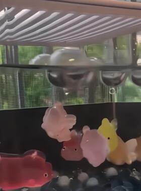 懒人养鱼神器！悬浮金鱼