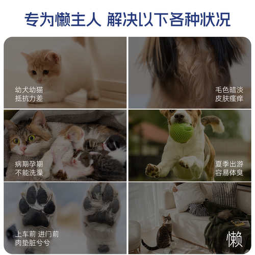 joypet加宜宠物免洗泡沫香波沐浴露除味干洗猫咪狗狗洗澡温和去味 - 图2