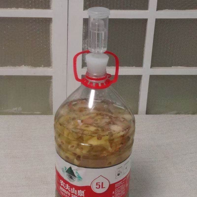 自酿排气单向阀 家用果酒发酵水封三片式 泡菜腌渍果类防爆工具,淘宝优惠券,粉丝福利购,淘宝优惠卷