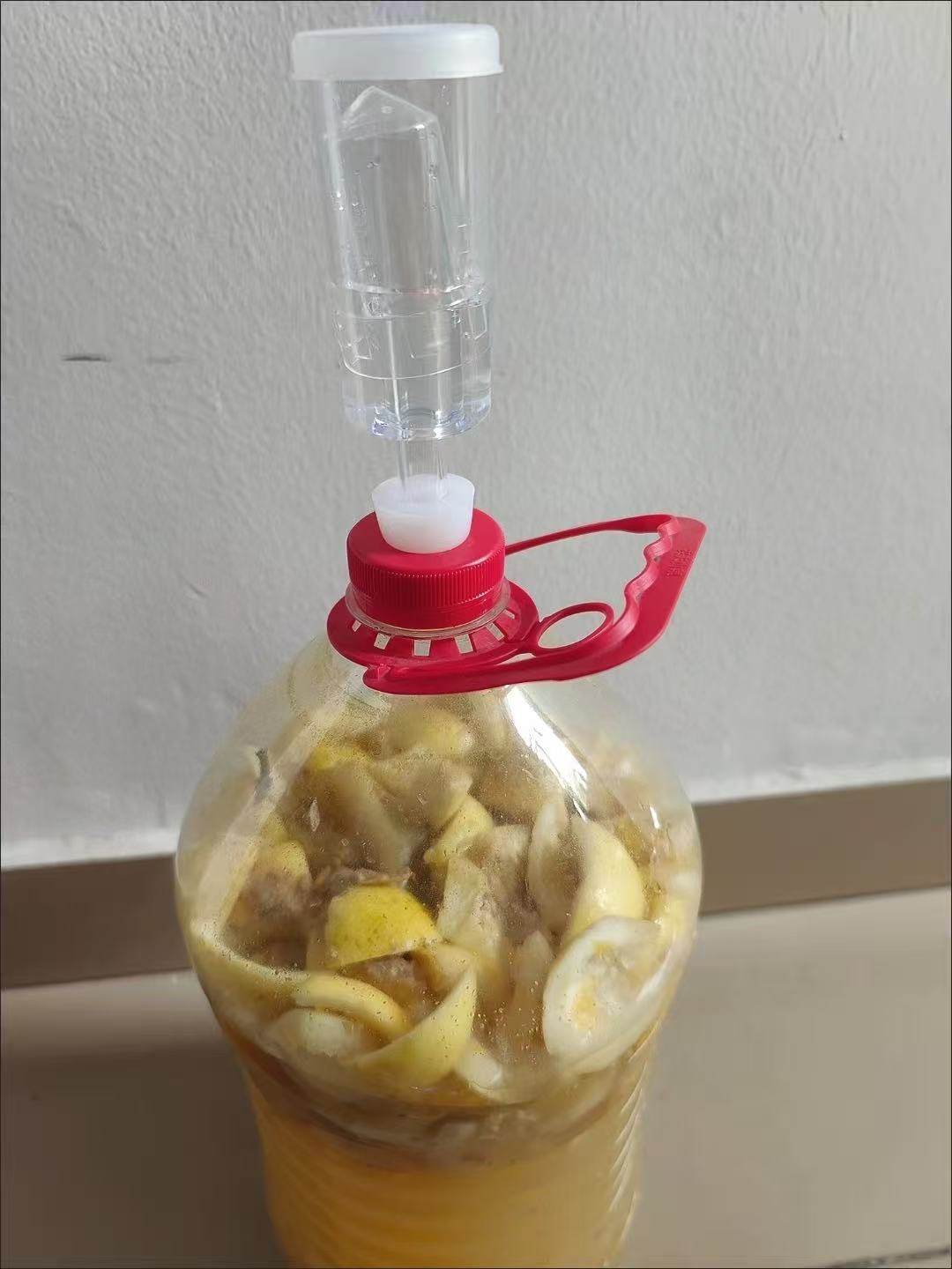 自酿排气单向阀 家用果酒发酵水封三片式 泡菜腌渍果类防爆工具,淘宝优惠券,粉丝福利购,淘宝优惠卷