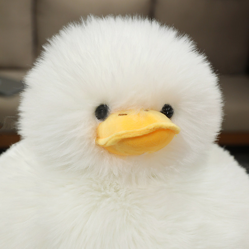  喜感熊毛绒布艺类玩具