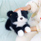 ຕຸກກະຕາ plush puppy ຊາຍແດນ