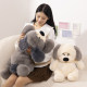 Doll puppy ຖົ່ວ