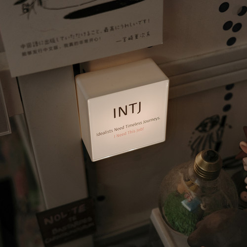 MBTI摆件intj创意周边intp发光冰箱贴灯牌书桌氛围感装饰小众摆件 - 图3