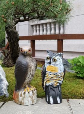 抖音同款吓麻雀三重刺激无穷小亮仿真老鹰猫头鹰阳台绿植保护防鸟