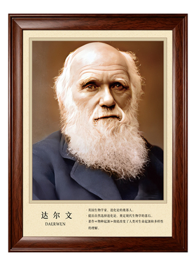 生物学家达尔文肖像画办公室挂画